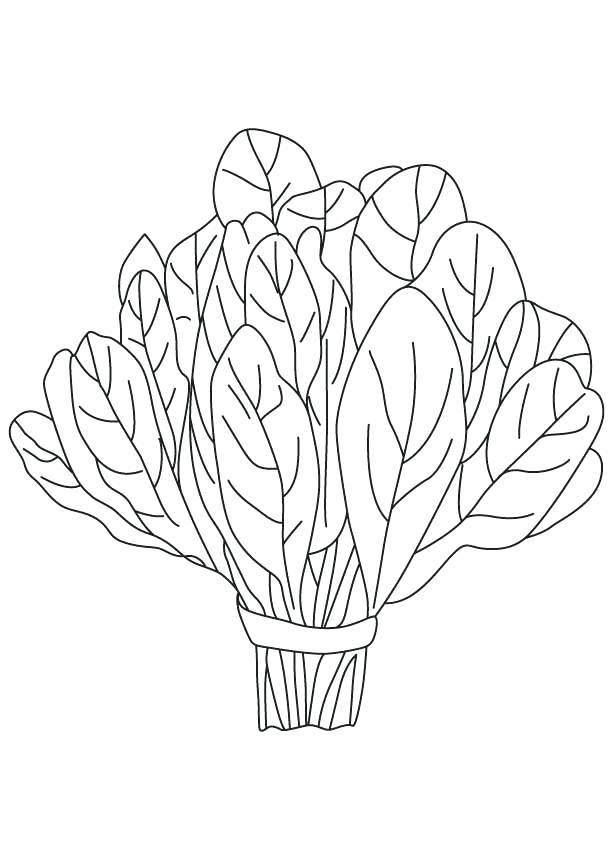 Spinach Coloring Page at GetColorings.com | Free printable colorings ...