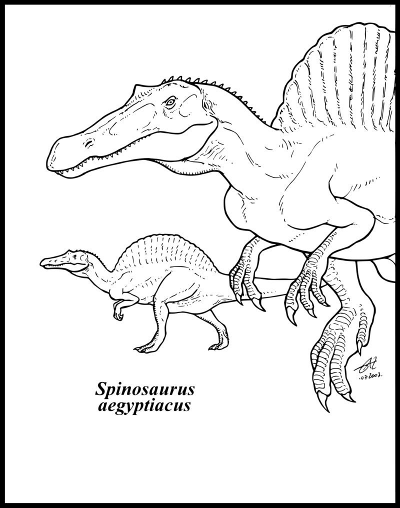 Spinosaurus Coloring Page Wistful Me Also Pages 800x1016 Spinosaurus Coloring Page Wistful Me Also Pages