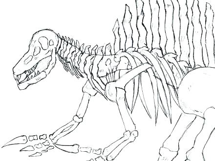 Spinosaurus Coloring Pages Coloring Page Top Rated Coloring Pages 440x330 Spinosaurus Coloring Pages Coloring Page Top Rated Coloring Pages