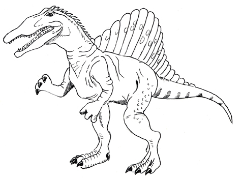 Drawing Spinosaurus Coloring Pages 478x356 Drawing Spinosaurus Coloring Pages
