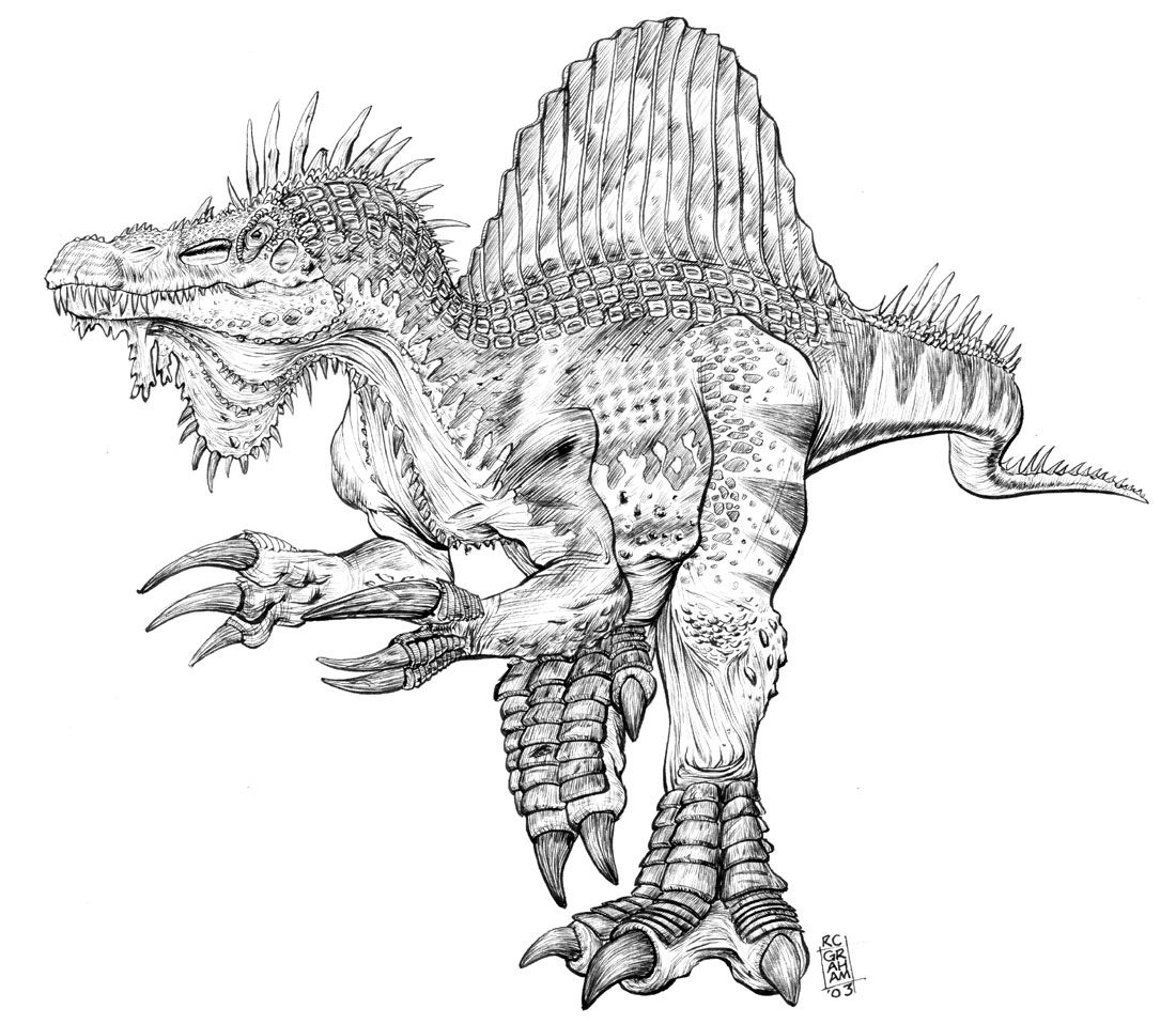 1100x958 Image For Realistic Spinosaurus Coloring Pages Coloring Pages