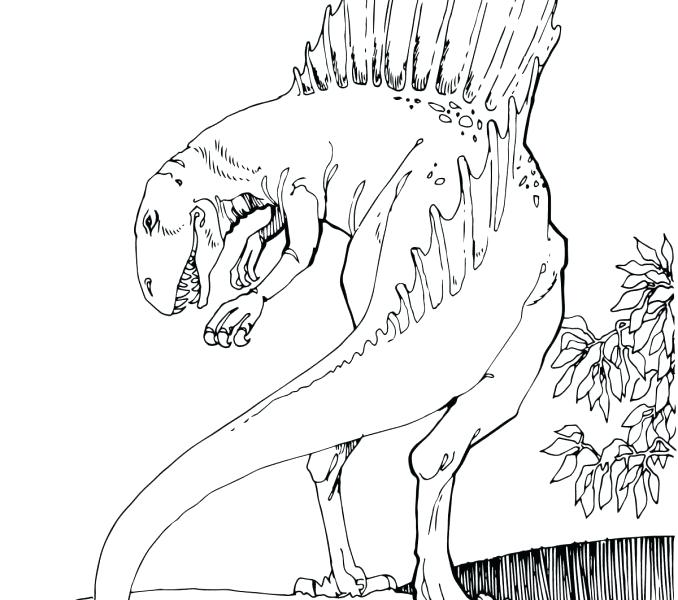 678x600 Spinosaurus Coloring Page X Free Spinosaurus Coloring Pages