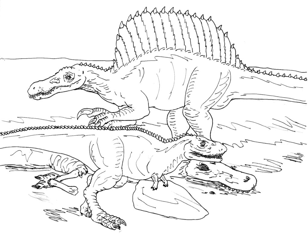 1021x782 Spinosaurus Coloring Pages Spinosaurus Coloring Page Birthday