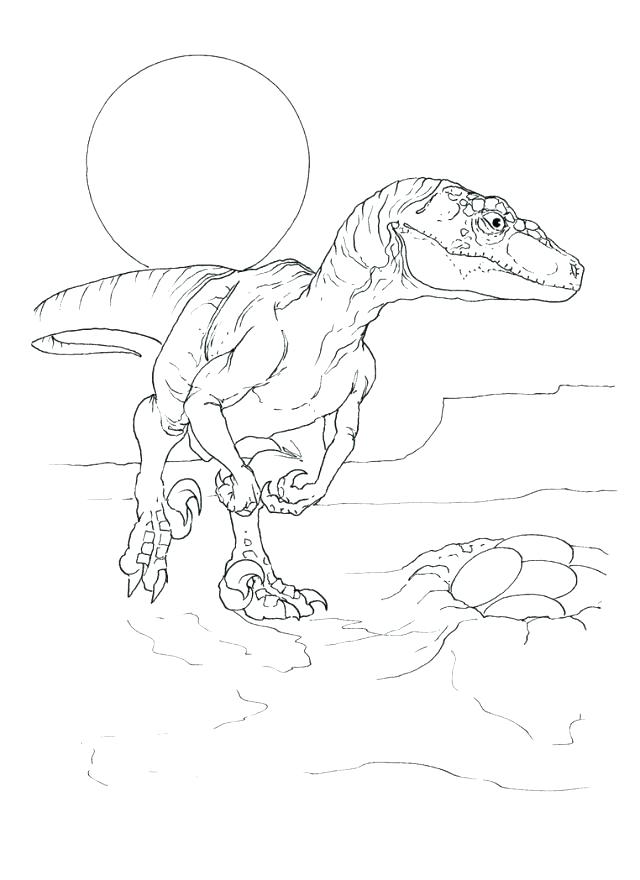 640x880 Spinosaurus Coloring Pages Top Rated Coloring Pages Images