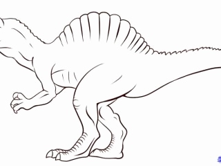 320x240 Dinosaur Coloring Pages Spinosaurus Collection Spinosaurus