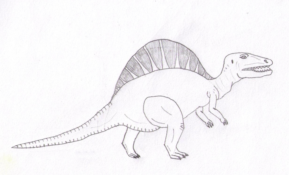 1229x745 Dinosaur T Rex Coloring Pages Spinosaurus And Printable General