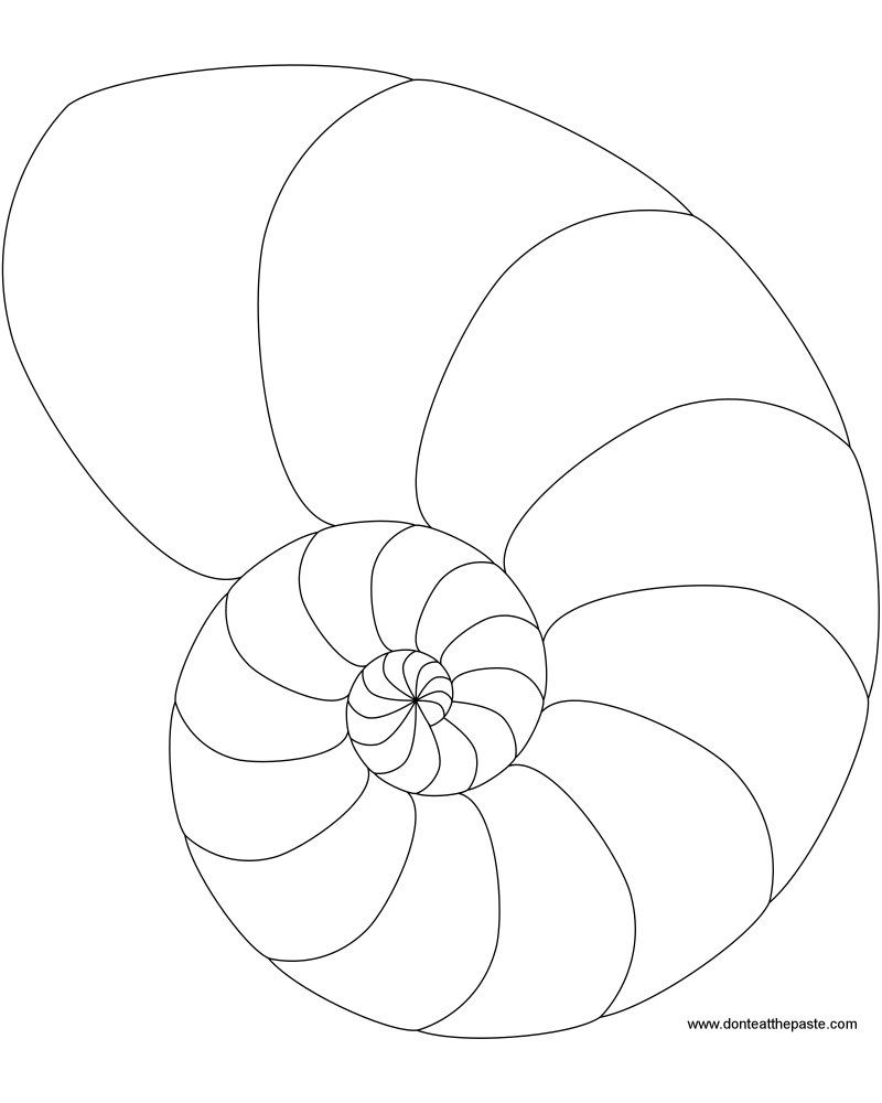 800x1000 Free Print Zentangle Patterns Don'T Eat The Paste Spiral