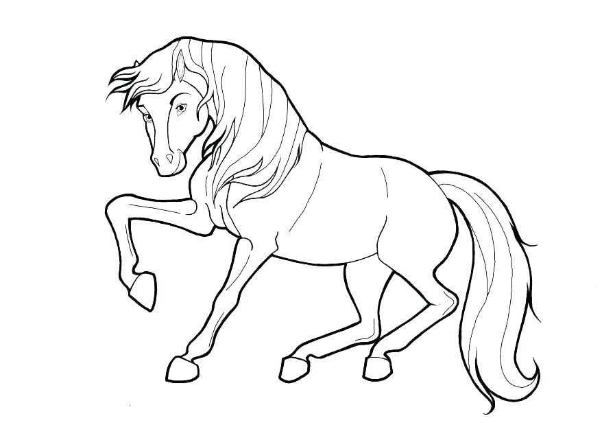 Spirit Horse Coloring Pages Free Horse Coloring Pages Horse 878x638 Spirit Horse Coloring Pages Free Horse Coloring Pages Horse