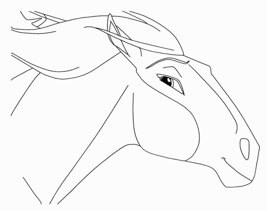 Spirit Stallion Of The Cimarron Coloring Pages Coloring Pages 904x715 Spirit Stallion Of The Cimarron Coloring Pages Coloring Pages