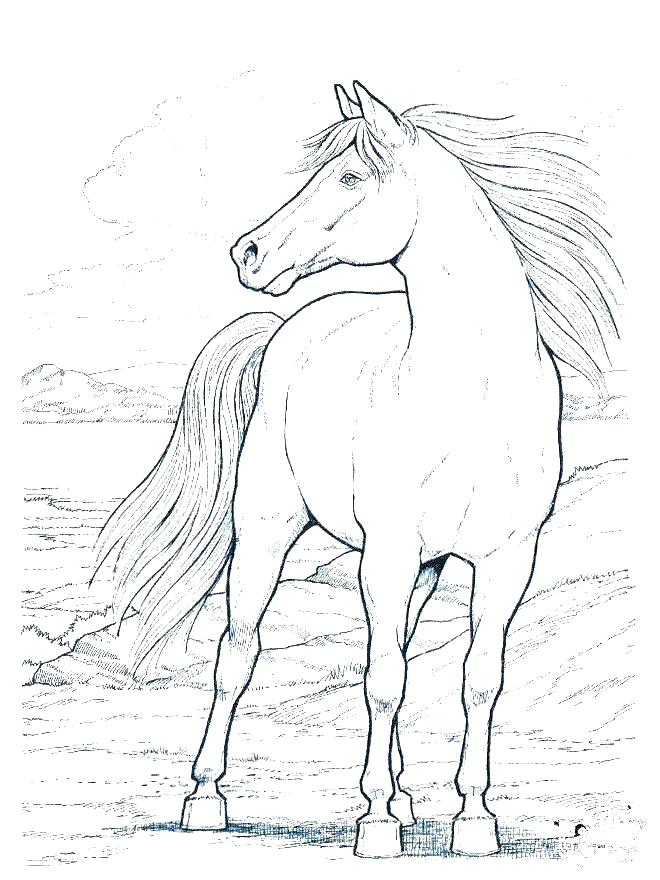 Barbie Horse Coloring Pages Horse Coloring Games Horse Coloring 660x880 Barbie Horse Coloring Pages Horse Coloring Games Horse Coloring