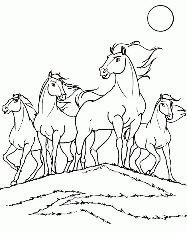 656x815 31 Best Spirit Coloring Pages Images On Horse Coloring