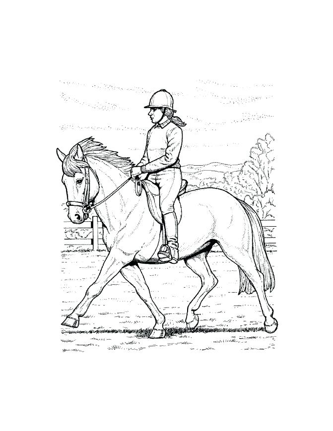 671x869 Free Printable Horse Coloring Pages Spirit Riding Free And Free