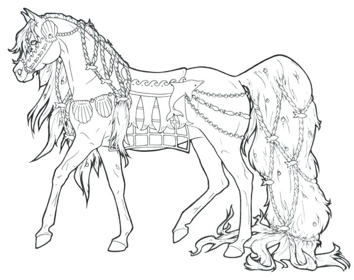 728x577 Spirit Horse Coloring Pages Free Horse Coloring Pages Adult Horse