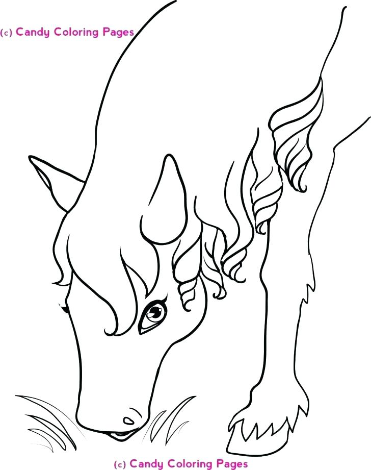 728x921 Spirit Horse Coloring Pages Spirit Horse Movie Coloring Pages