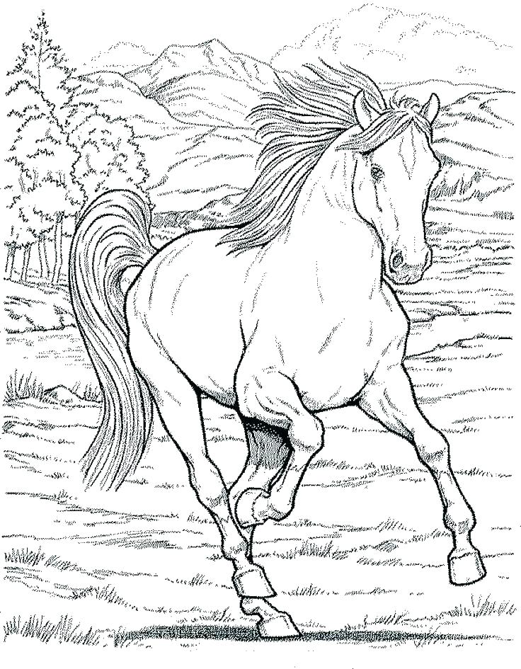 736x945 Spirit Horse Coloring Pages