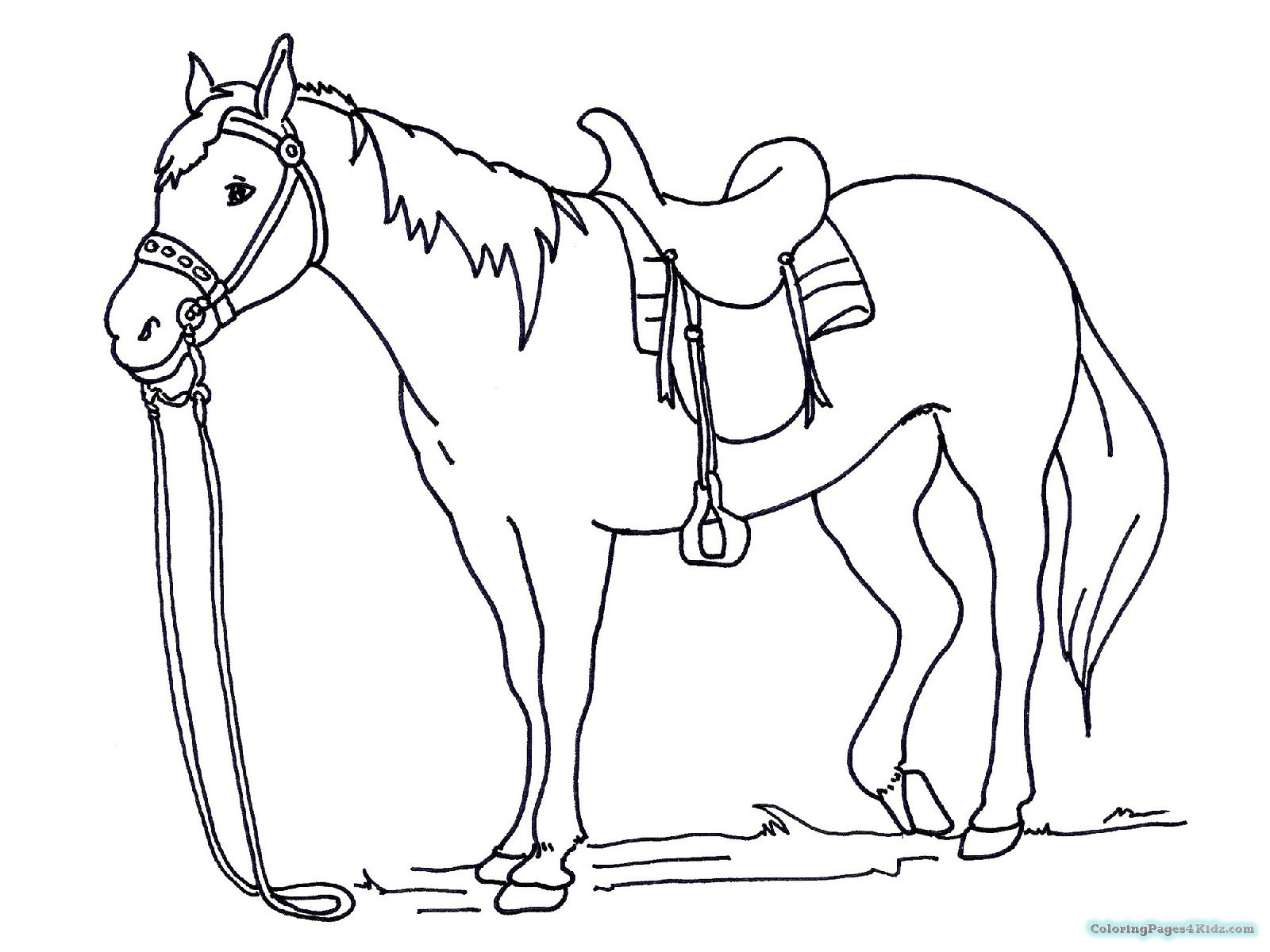 1600x1200 Elegant Spirit Horse Coloring Pages