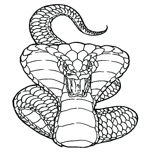 Spitting Cobra Coloring Pages 600x600 Spitting Cobra Coloring Pages