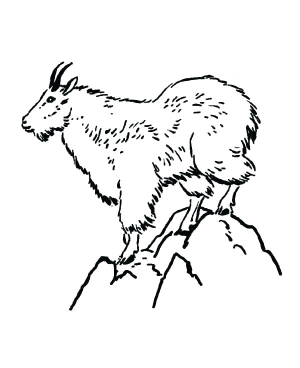 Mountain Coloring Page Picturesque Mountain Goat Coloring Pictures 600x736 Mountain Coloring Page Picturesque Mountain Goat Coloring Pictures