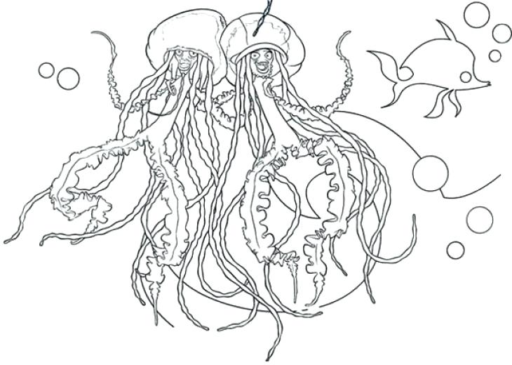 730x520 Jellyfish Coloring Pages A Couple Of Jellyfish Singing And Dancing
