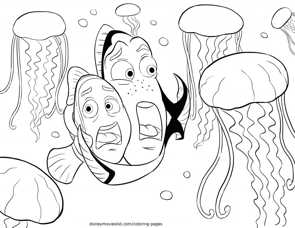 1024x791 Coloring Pages ~ Jellyfish Coloring Page J Is For Printable