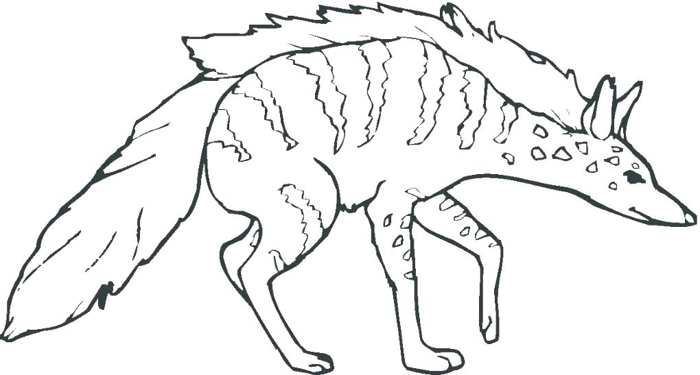 1020x547 Hyena Coloring Page Hyena Coloring Page Hyena Coloring Page Baby