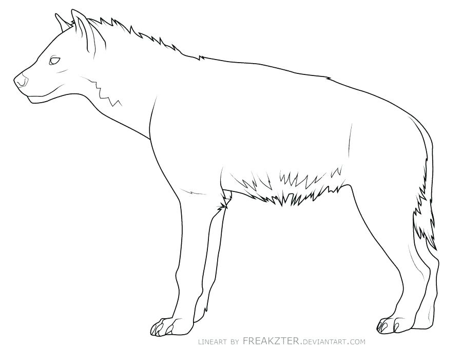 900x678 Hyena Coloring Pages Hyena Coloring Sheets Hyena Coloring Pages