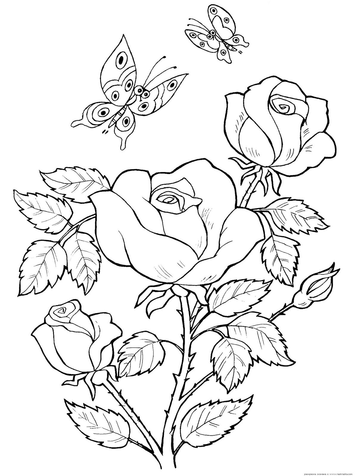 1192x1600 Coloring pages of flowers  +rose+5a.gif Bordado