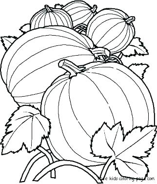 322x377 Coloring Pages Of Pumpkins To Print Free Printable Pumpkin Mandala