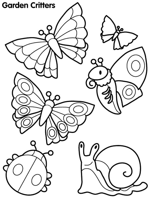 Spring Animals Coloring Pages