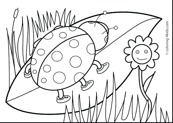 Spring Animal Coloring Pages Coloring Pages Animals Spring Baby 687x490 Spring Animal Coloring Pages Coloring Pages Animals Spring Baby