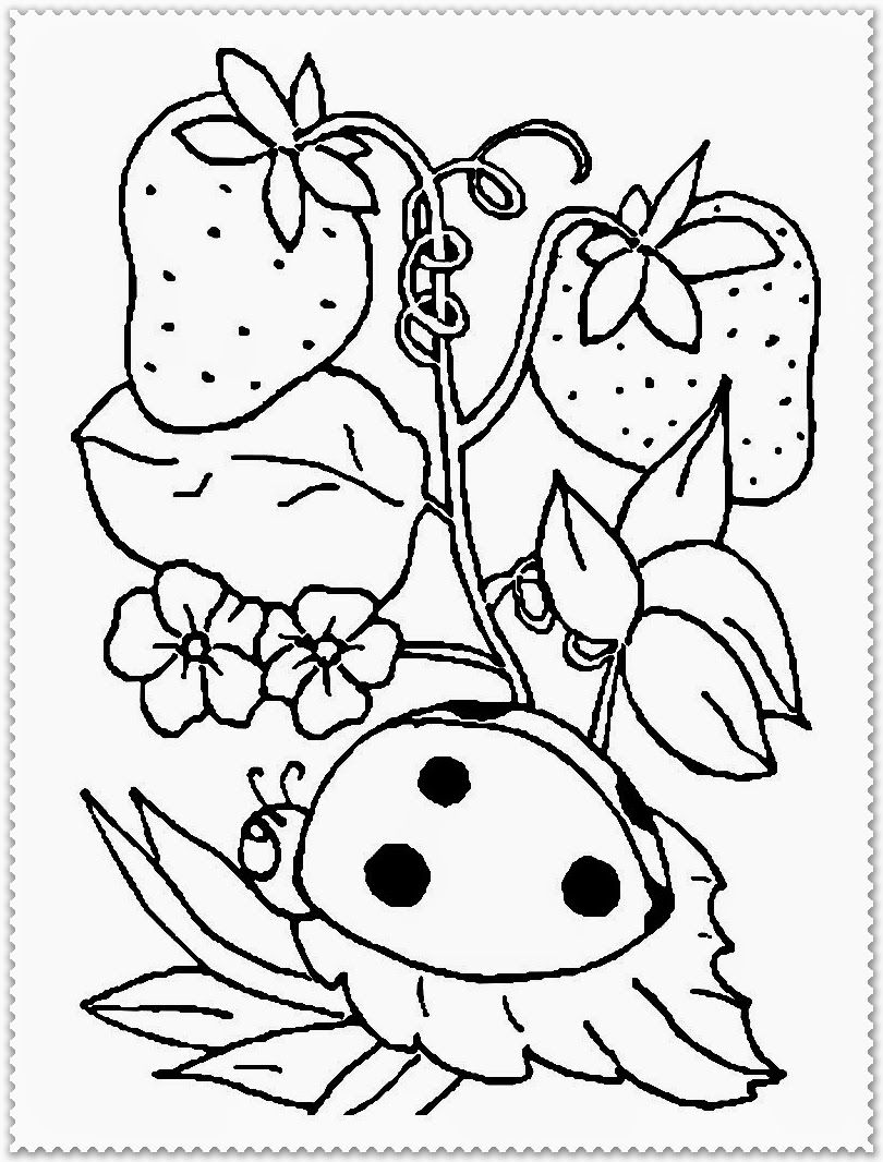 Unbelievable Spring Animals Coloring Pages For Trend And Kids 810x1066 Unbelievable Spring Animals Coloring Pages For Trend And Kids