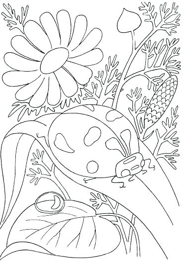 Coloring Pages Spring Spring Time Coloring Page Fnaf Coloring 371x525 Coloring Pages Spring Spring Time Coloring Page Fnaf Coloring