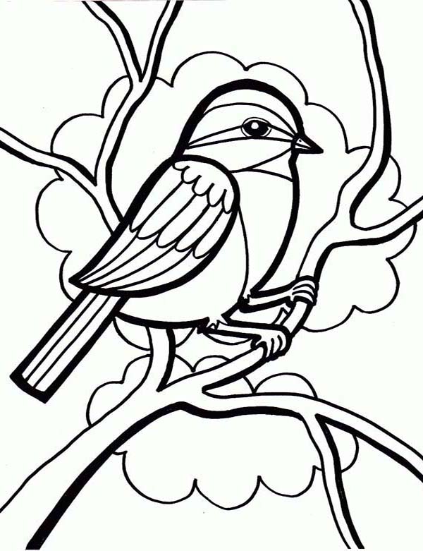 Drawing A Little Cute Bird Coloring Page Color Luna 600x781 Drawing A Little Cute Bird Coloring Page Color Luna