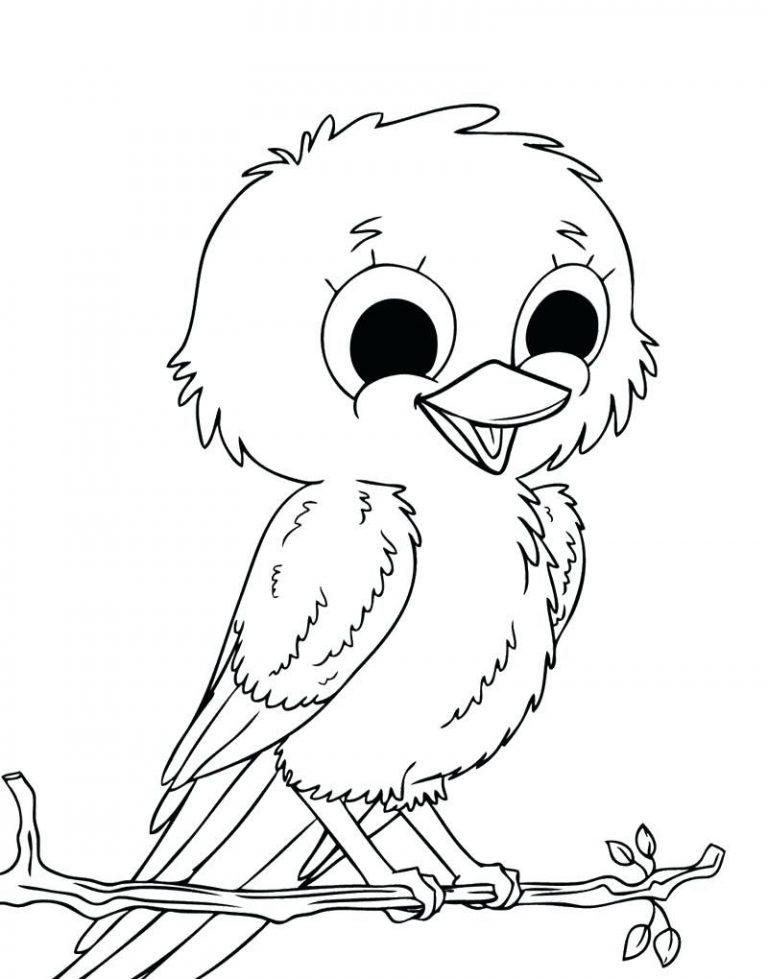 Easy Bird Coloring Pages Best Of For Preschoolers Spring Birds 768x979 Easy Bird Coloring Pages Best Of For Preschoolers Spring Birds