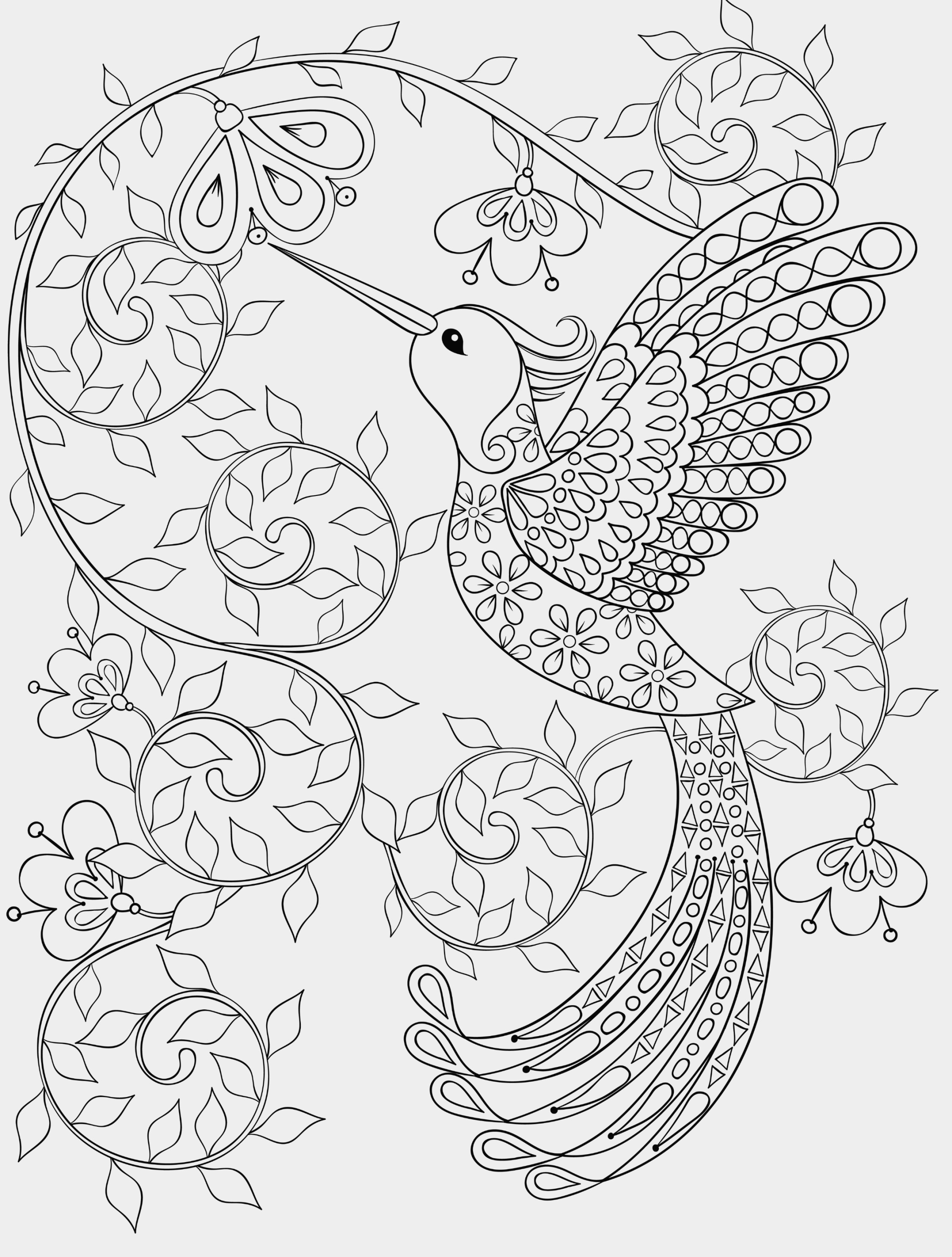 Inspiration Lovely Bird Coloring Pages For Adults Coloring Pages 2250x2970 Inspiration Lovely Bird Coloring Pages For Adults Coloring Pages