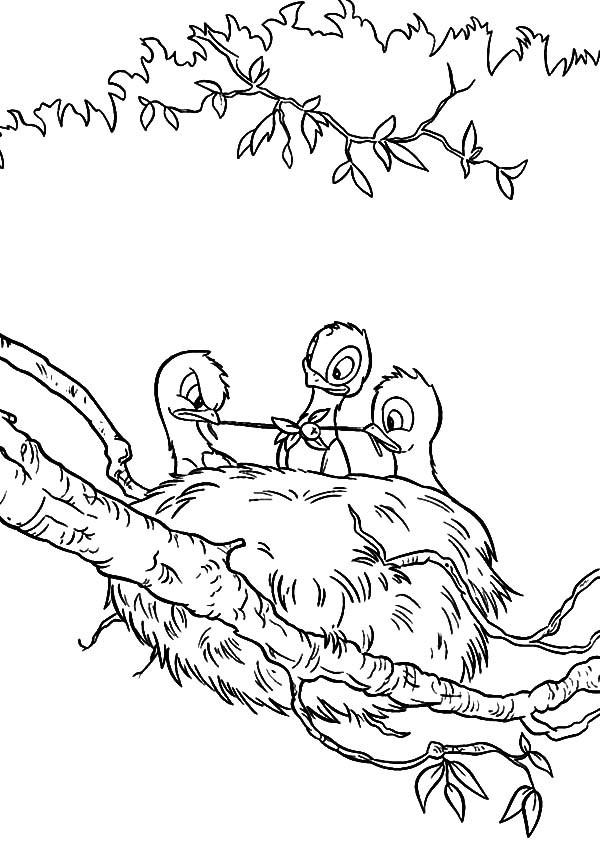 Baby Bird Eating In Their Bird Nest Coloring Pages Best Place 600x841 Baby Bird Eating In Their Bird Nest Coloring Pages Best Place