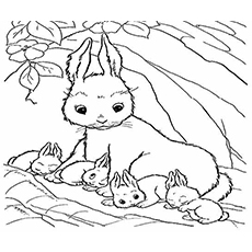 230x230 Top 15 Free Printable Bunny Coloring Pages Online