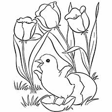 230x230 Top 35 Free Printable Spring Coloring Pages Online