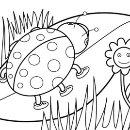 Spring Coloring Pages For Preschoolers Best Coloring Pages 268x268 Spring Coloring Pages For Preschoolers Best Coloring Pages