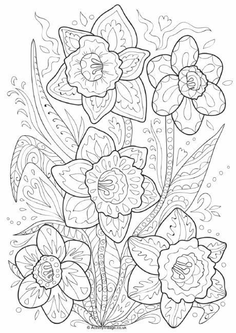 Daffodil Doodle Colouring Page 460x650 Daffodil Doodle Colouring Page