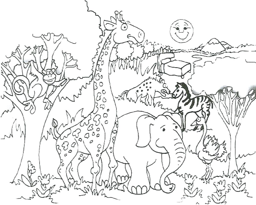 Spring Coloring Pages Nice For Adults Page Well Older 1048x842 Spring Coloring Pages Nice For Adults Page Well Older