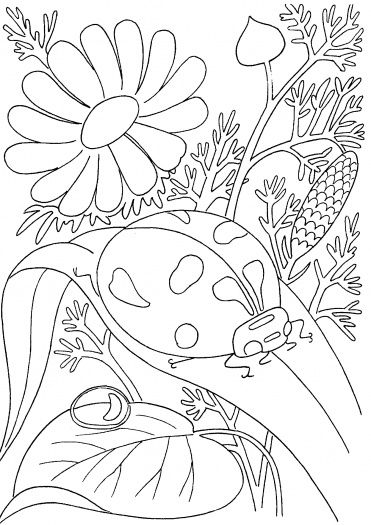 Wonderful Design Spring Coloring Pages Kids Page 371x525 Wonderful Design Spring Coloring Pages Kids Page