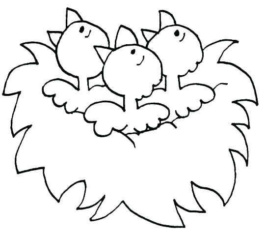 Spring Coloring Pages For Preschoolers Preschool Spring Coloring 540x480 Spring Coloring Pages For Preschoolers Preschool Spring Coloring