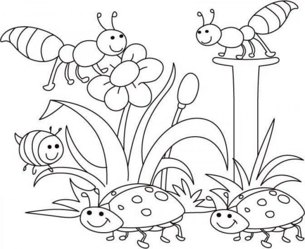 Spring Coloring Pages Toddlers Az Coloring Pages Spring Coloring 1024x837 Spring Coloring Pages Toddlers Az Coloring Pages Spring Coloring