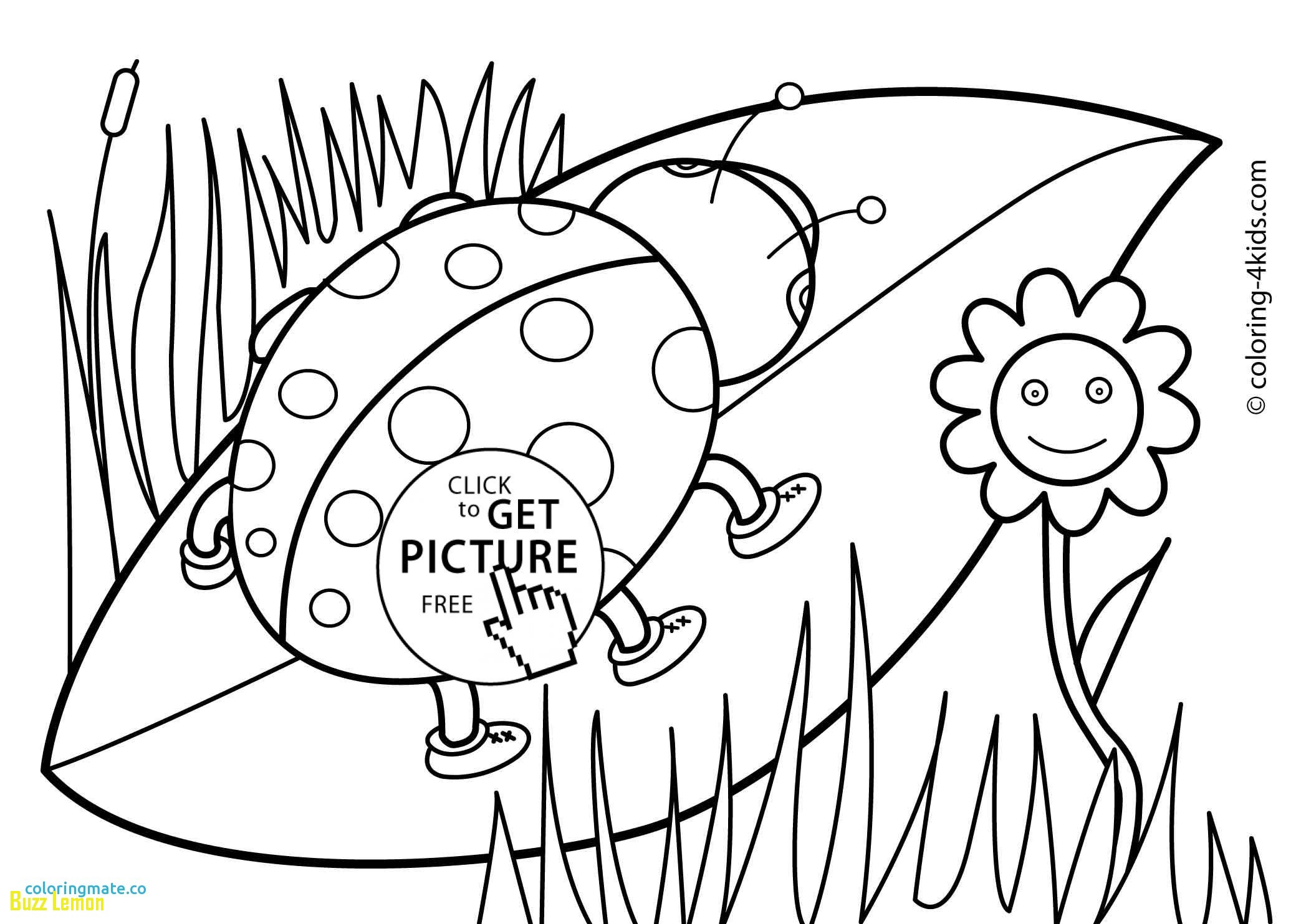 Best Of Spring Coloring Pages Buzz Coloring 2079x1483 Best Of Spring Coloring Pages Buzz Coloring