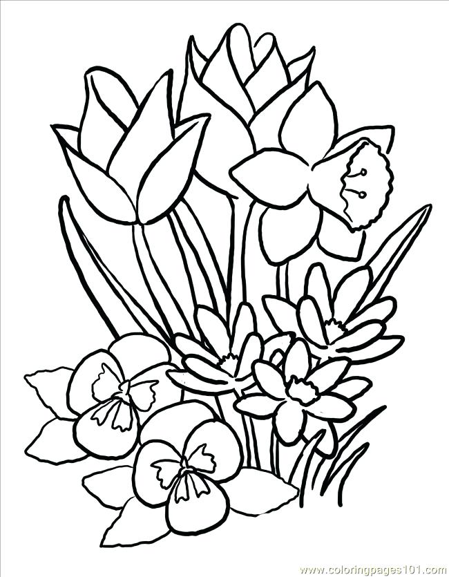 650x835 Spring Coloring Pages Printable Spring Butterflies With Flowers