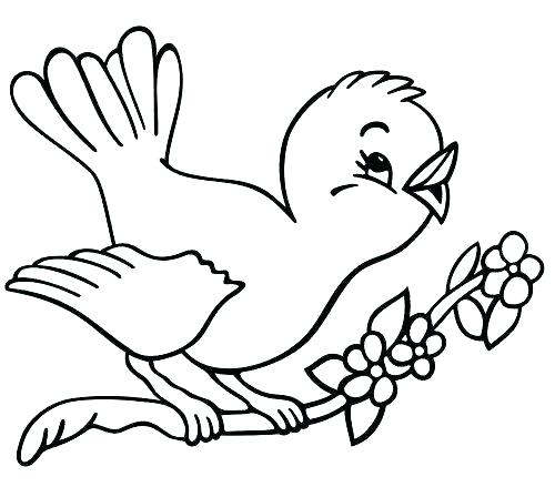 500x439 Spring Coloring Pages Spring Coloring Pages For Adults Spring