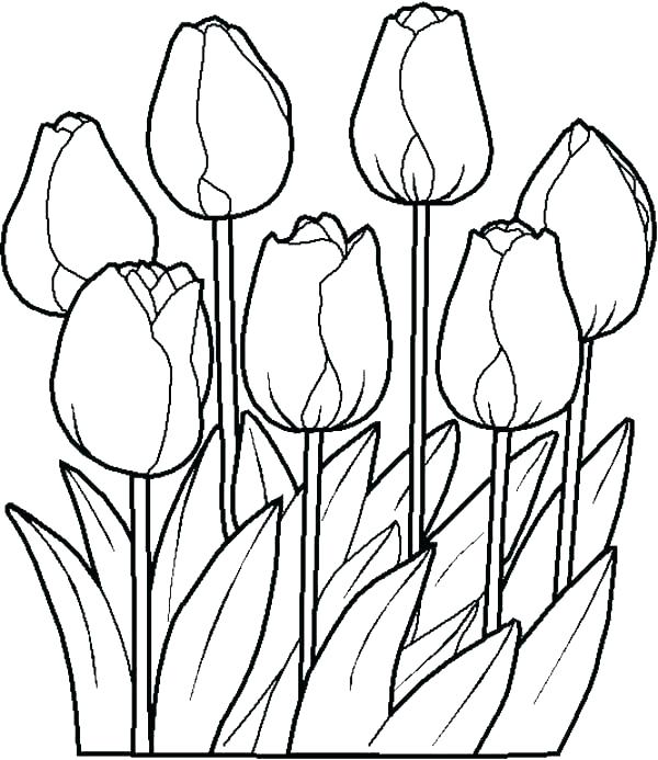 600x693 Welcome Spring Coloring Pages Spring Coloring Pages
