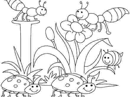 440x330 Printable Spring Coloring Pages Top Rated Spring Printable