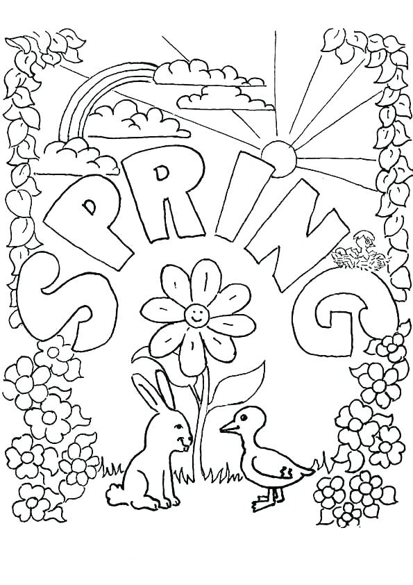 595x842 Spring Coloring Pages For Adults And Kids Preschool Bird Book Page